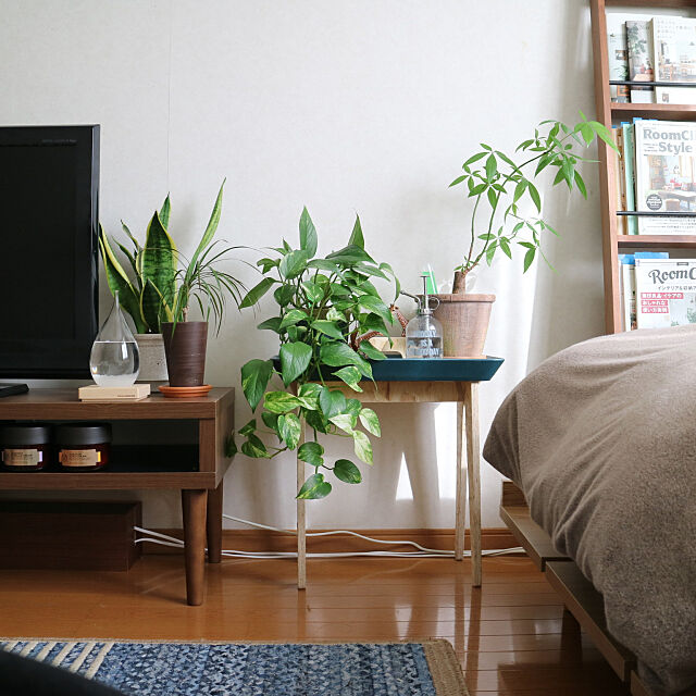 3Coins,テンポドロップ,nikoand…,ideaco,観葉植物,ラグ,無印良品,Lounge miyaの部屋