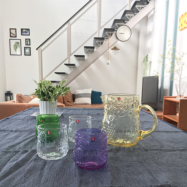 ポトス エンジョイ,Iittala,北欧雑貨,コメントお気遣いなく♡,見てくれてありがとうございます♡,Lounge,ピッチャー,タンブラー,フルッタ,イッタラ pandaの部屋