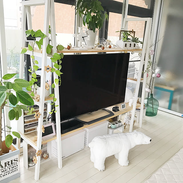 My Shelf,ラダーシェルフ,観葉植物,鉢カバー,DIY,salut!,雑貨,白が好き,テレビ周り,コクヨ　収納ボックス　NEOS,デミジョンガラスボトル,ニトリ,ニトリ2018クリスマスモニター,クリスマス moeの部屋