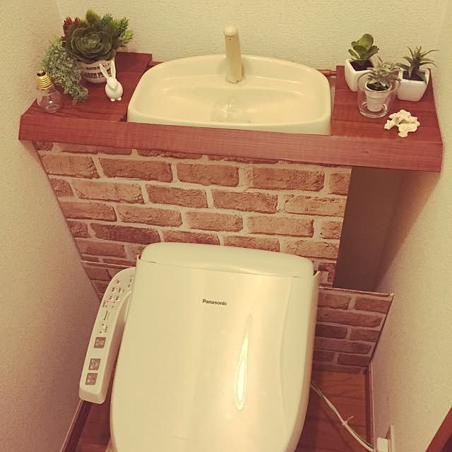 Bathroom,タンクレス風トイレ,セリア,DIY,多肉植物 aldde5の部屋