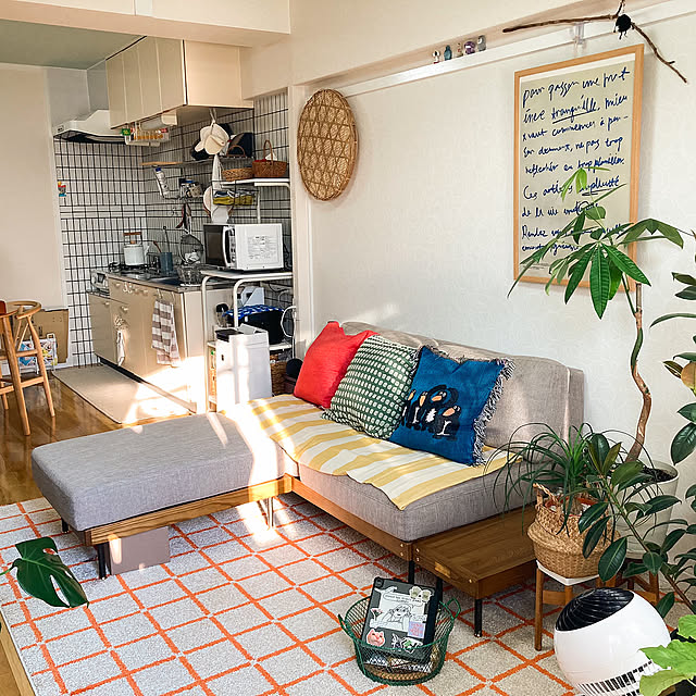 Overview,カラフルインテリア,DIY,セリア,100均,ダイソー,観葉植物,3COINS,ソファ izayoiの部屋
