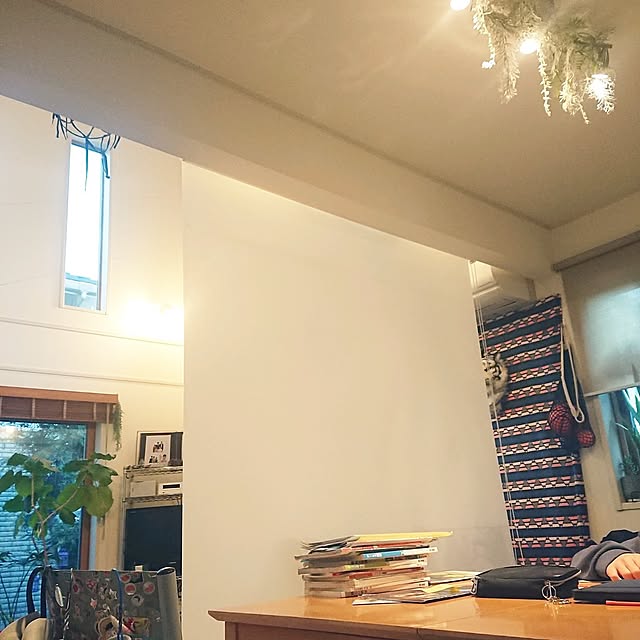 目隠しアイデア,ニトリ,ロールカーテン urchinの部屋