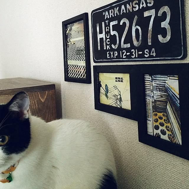 On Walls,ねこ写っちゃった,男前を目指してます,雑貨,賃貸,一人暮らし,リメイク,セリア,男前,ナンバープレート風,写真が趣味です♡ ayacoの部屋