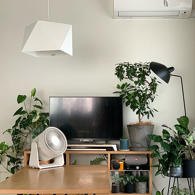 扇風機・サーキュレーター,照明,植物のある暮らし,植物,グリーンのある暮らし,無印良品,雑貨,テレビ周り,IDEE,スタッキングシェルフ,折りたたみテーブル,ふたり暮らし,Overview y.の部屋