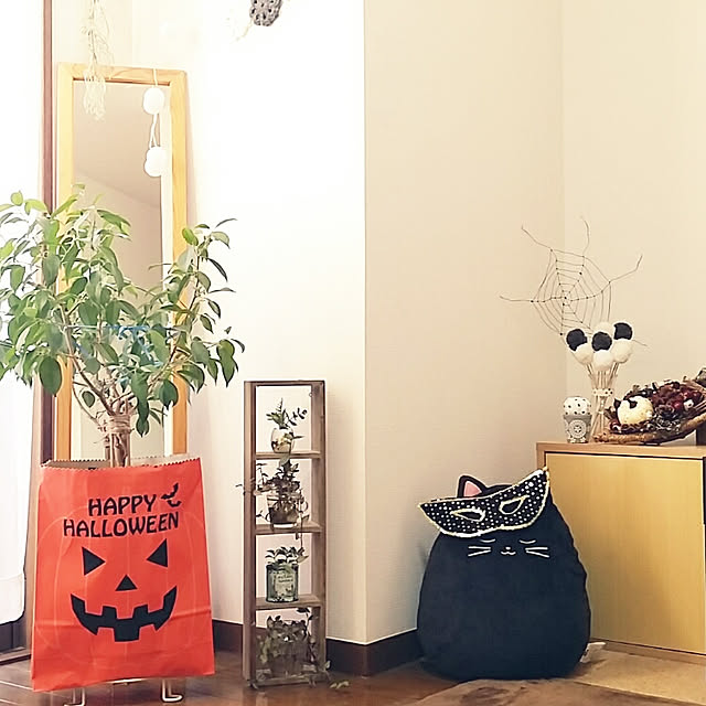 Lounge,ハロウィン,紙袋,紙袋で鉢カバー,ショップの紙袋,観葉植物,ベンジャミン,トラディスカンチア,フェイクグリーン,ニトリのクッション,ポンポンフラワー,木の実,粘土かぼちゃ,ワイヤークラフト,セリアのポットラウンド,セリアのフェイクグリーン,姿見,ダイソーのフェイクグリーン,梁のあるリビング,賃貸マンション,賃貸暮らし,賃貸,イベントの参加 suzuの部屋