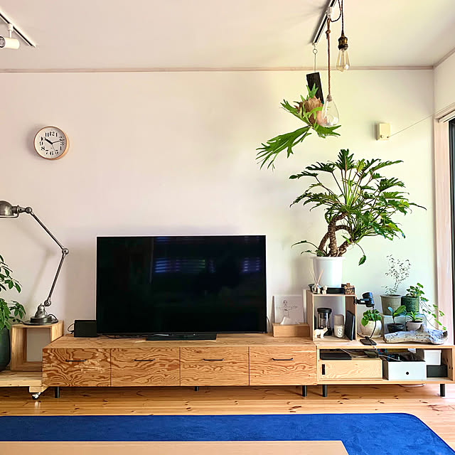ジェルデランプ,REGZA55インチ,リキクロック,TV台DIY,テレビ周りの収納,無印良品,リノベーション,コウモリラン,My Shelf kazenの部屋