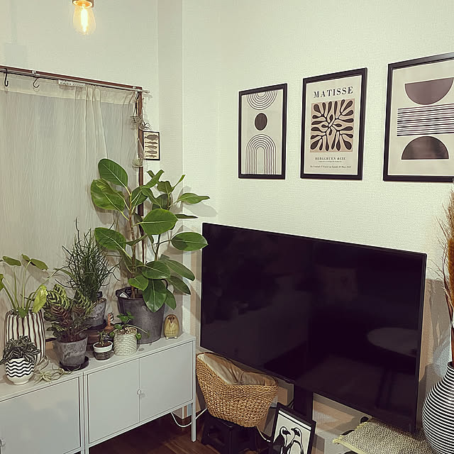 観葉植物のある暮らし,インテリア,壁掛けインテリア,観葉植物,DIY,セリア,100均,雑貨,ダイソー,IKEA,カフェ風,照明,モノトーン,多肉植物,3COINS,Lounge mumunの部屋