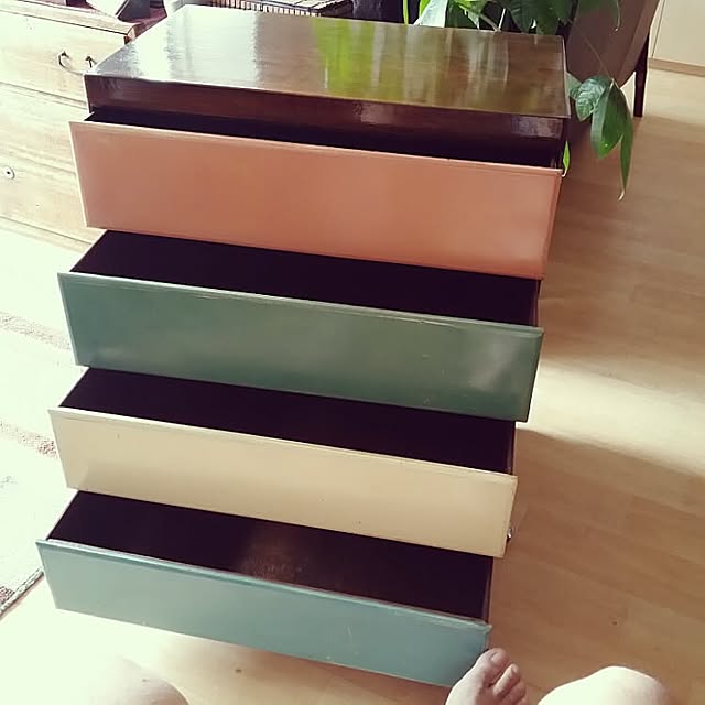 My Shelf,塩ビパイプ,チェスターフィールド,100均,グリーンのある暮らし,アメカジ,植物,DIY,アイスキャンディー,セリア,インダストリアル,メンズ部屋,男前,グリーン増加計画,インダストリアルインテリア,ヴィンテージ shinji19730515の部屋