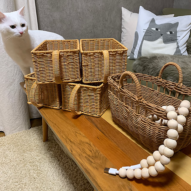 Overview,ウッドコードジュエリー,スリーコインズ,間接照明,ねこと暮らす,白猫うずら,ラック DIY keiの部屋