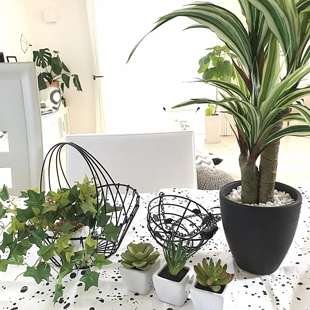 Lounge,IKEAファブリック,IKEA,ニトリフェイクグリーンモニター,ニトリのフェイクグリーン,ニトリ,ホワイトインテリア,白黒インテリア,北欧雑貨,白黒,北欧インテリア,モノトーン,白黒好き,モノトーンインテリア,グリーンのある暮らし nmhmaiの部屋