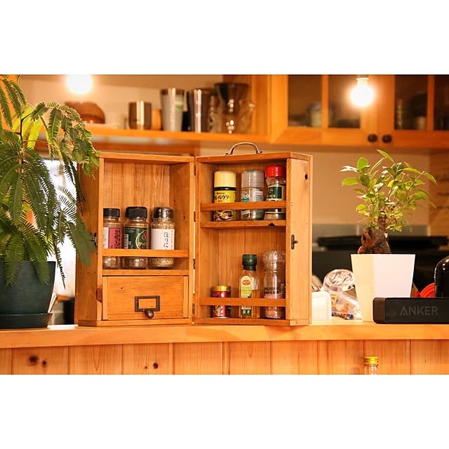 Kitchen,アウトドアグッズ,スパイスボックス,スパイスボックスDIY,観葉植物のある暮らし,キッチンカウンター,DIY,無垢材,キャンプ道具,キャンプギア,アウトドアスパイス,キャンプ用品 tentpegの部屋