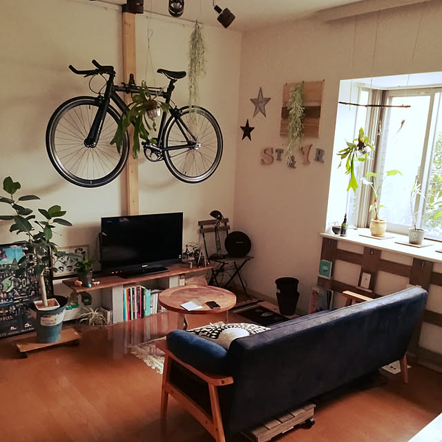 Lounge,ツーバイフォー,観葉植物,IKEA,Bカンパニーのテーブル,フィカス,DIY,カフェ風インテリアを目指して,コウモリラン苔玉,うさぎ,カフェ,ラグ,TV台,コウモリラン,ホームセンター,コンクリートブロック dontsubakiの部屋