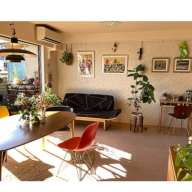 Overview,お部屋を広く見せる工夫,クリスマス,ベランダガーデン,フィカスアルテシマ,グレープアイビー,観葉植物のある暮らし marukoの部屋