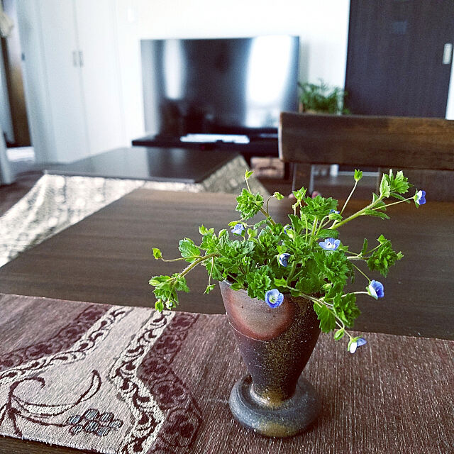 My Desk,春の雑草,オオイヌノフグリ,茶 × ブルー,季節を愉しむ,備前焼 325unの部屋
