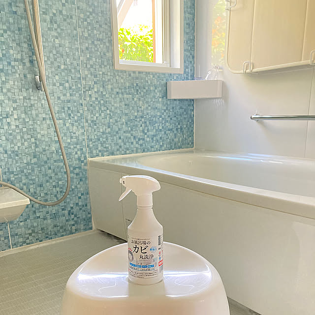 Overview,掃除,カビ対策,夏の暮らし準備2024,クリーンプラネット,丸洗浄,滅カビ bestwishes.ryokoの部屋