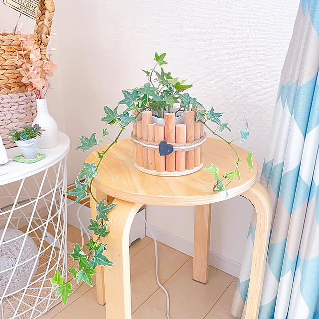 クローバー,アイビー（ヘデラ）,バラ,多肉植物,夏,ナチュラル,雑貨,カフェ風,ガーデン雑貨,我が家,北欧ナチュラル,建売住宅,北欧インテリアに憧れる,建売住宅だけど可愛く☆,観葉植物,グリーン,Lounge akiko-ovの部屋