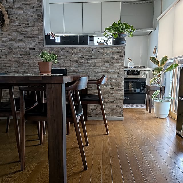 Lounge,好きな眺め,冬,グリーンのある暮らし,植物のある暮らし,ポトス エンジョイ,ポトス,ゴムの木,フィカス・ティネケ,サンゲツ,アクセントクロス,ダイニングチェア,ダイニングテーブル,関家具,リンナイガスコンロ,リンナイ,ガスオーブンレンジ,観葉植物,ニチベイ,ロールスクリーン,レンジフード,FUJIOH Renの部屋