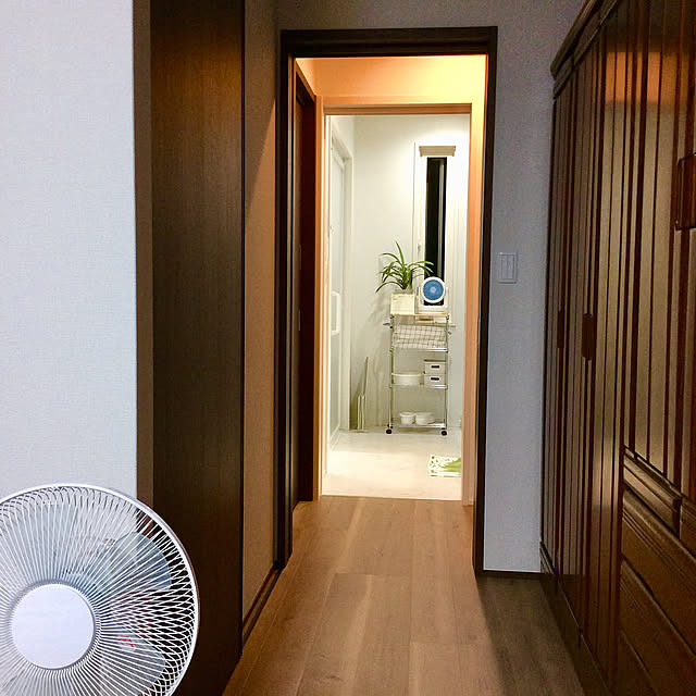サーキュレーター,朝晩の動線,新築,平屋,見ていただいてありがとうございます♡,扇風機,植物のある暮らし,開放感,生活しやすい家,イベント投稿,通風,終の住処,Bathroom,家づくり houenの部屋