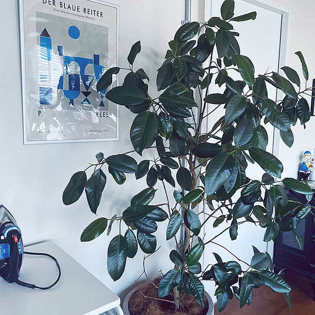 北欧家具のある暮らし,Muji,無印良品,コンランショップ,ACTUS,アンティーク,FLYME,アイランドキッチン,北欧家具,チェア,時計,アイアン窓枠DIY,ヴィンテージ,植木鉢,ソファ,倹約生活,アイアン窓,アクタス,リフォーム,照明,ラグのある暮らし,ジャーナルスタンダードファニチャー,北欧雑貨,タイル,観葉植物,節約インテリア,アート,セリア,雑貨,ポスターのある暮らし,niko and…,絵画,花瓶,Overview yuchhの部屋