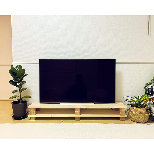 テレビ台DIY,テレビボード,植物のある暮らし,2LDK賃貸アパート,イブルキルティングマット,イブルのある暮らし,テレビ周り,2人暮らし,賃貸アパート,ゴムの木,Lounge Oriorioの部屋