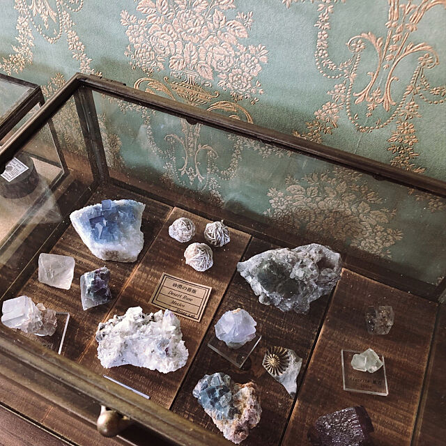 コレクションケース,ガラスケース,鉱物コレクション,鉱物,アンティーク,鉱物標本,My Shelf Re-oの部屋
