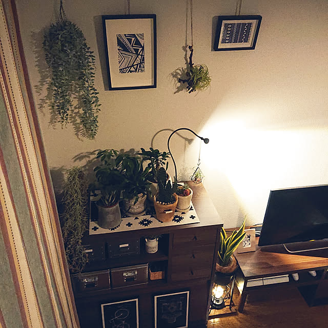 My Shelf,1K,一人暮らし,賃貸,6畳,7畳,グリーンのある暮らし,観葉植物,ブラウンインテリア,モノトーン×ウッド,ボタニカル,シェルフラック,エア・リゾーム インテリア,ウォールナット,間接照明,IKEA,salut!,アートのある暮らし saya-nagaの部屋