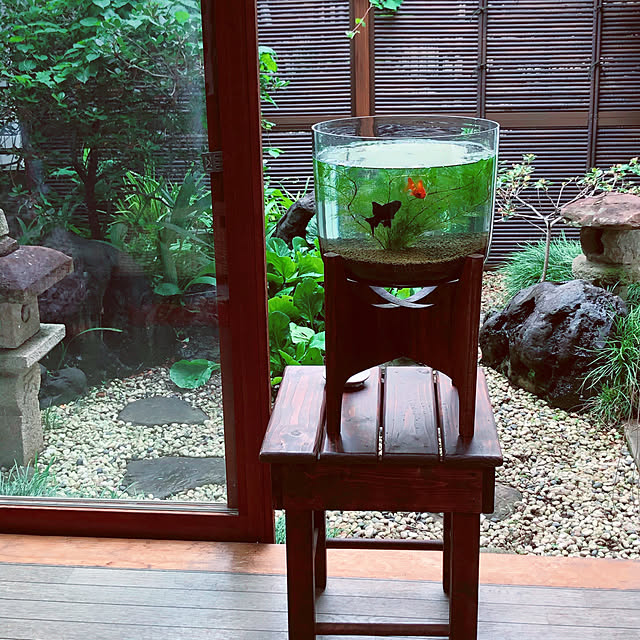 梅雨時期,日本家屋,灯篭,中庭,金魚,和モダンインテリア,Overview chacoの部屋