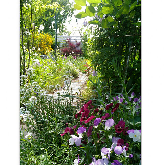 春の庭,新緑,ガーデニング,ガーデン,１から手作りの庭＊,レンガの小道DIY kikusukeの部屋