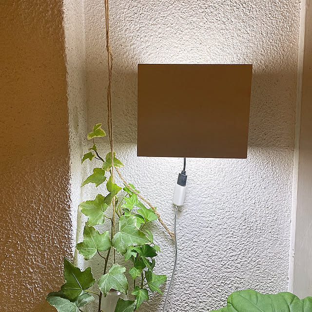 間接照明,観葉植物,BOHO,ナチュラル,ハンドメイド,DIY,100均,セリア,ダイソー,キャンドゥ,照明,一人暮らし,北欧,カフェ風,On Walls eri.roomの部屋