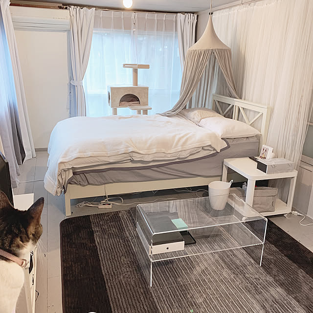 H&M HOME,ニトリ セミダブルベッド,ニトリ,IKEA,1/30/2020⋆̩☂︎*̣̩,ホットカーペット,猫グッズ,PCテーブル,アクリルテーブル,シンプルインテリア,無機質感,ミニマリスト,モノトーンインテリア,シンプリスト,ねこと暮らす,ミニマムライフ,Bedroom Shihoの部屋