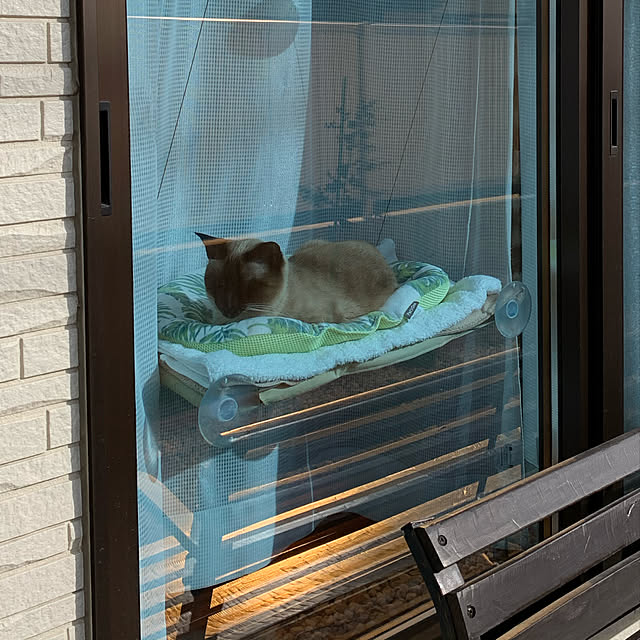 猫用ハンモック,ペットのいる暮らし,一戸建て,工務店の家,戸建,戸建て,猫のいる日常,ねこと暮らす,猫のいる暮らし,猫 shi622の部屋