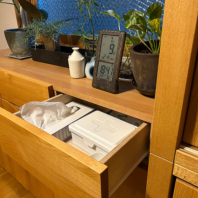 My Shelf,物置きをクローゼットにリフォーム,ティッシュは見せたくない,SCOTTIE,ティッシュ botanの部屋