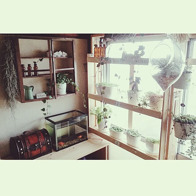 My Desk,ソラシエル,団地,DIY,だってそれが…,百均板部,壁掛けシェルフDIY,カウンターDIY,棚DIY,グリーンのある暮らし,ナチュラル miporin0711の部屋