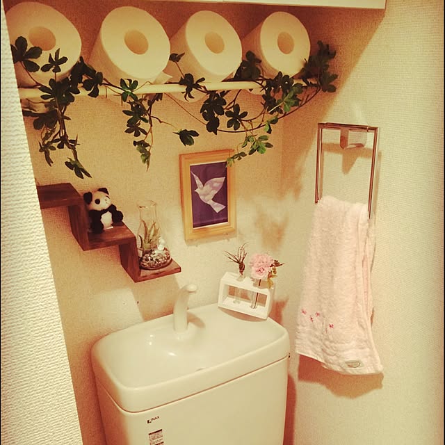 Bathroom,雑貨,100均,3COINS,ダイソー,観葉植物,DIY,カフェ風,リケジョ,トイレットペーパー収納,トイレットペーパーの収納 yuki0c0chiの部屋