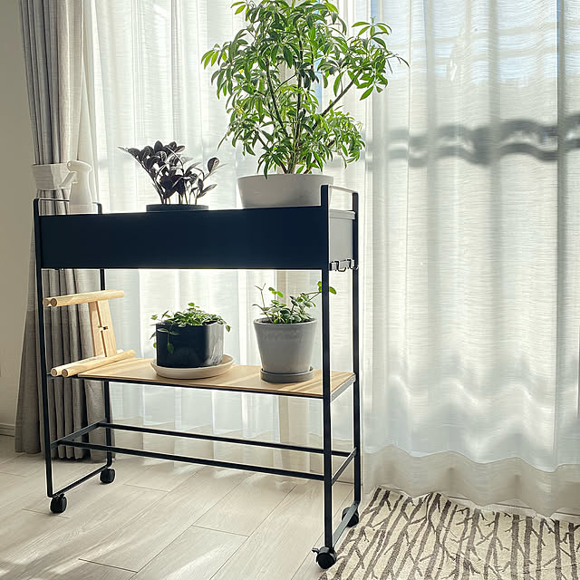 花台,プランタースタンド,towerシリーズ,マンション暮らし,グリーンのある暮らし,観葉植物のある暮らし,Lounge,玄関ワゴン,タワー,山崎実業,ペペロミアホープ,ザミオクルカス,シェフレラコンパクタ,ペペロミアアングラータ,プランターシェルフ yuuuuu_876の部屋