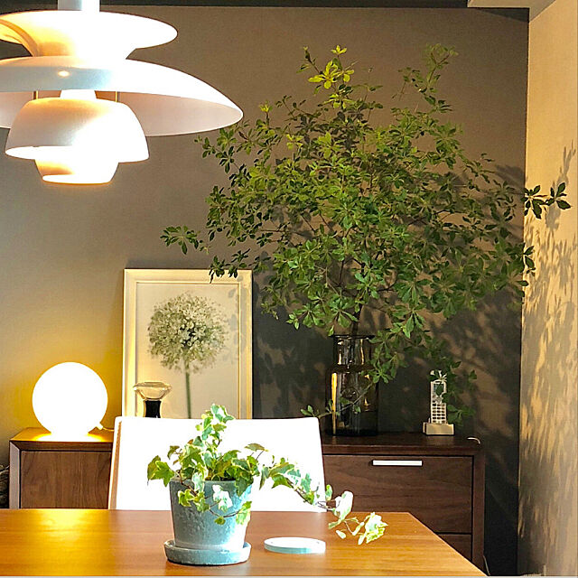 ダイニングテーブル,枝ものディスプレイ,ドウダンツツジ,植物のある暮らし,My Desk,ダルトン鉢,アイビー maruの部屋