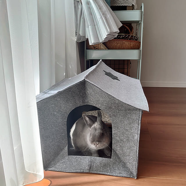 100均,マンション暮らし,うさぎの放し飼い,Daiso,子どもと暮らす,ペットハウス,Lounge kirariの部屋