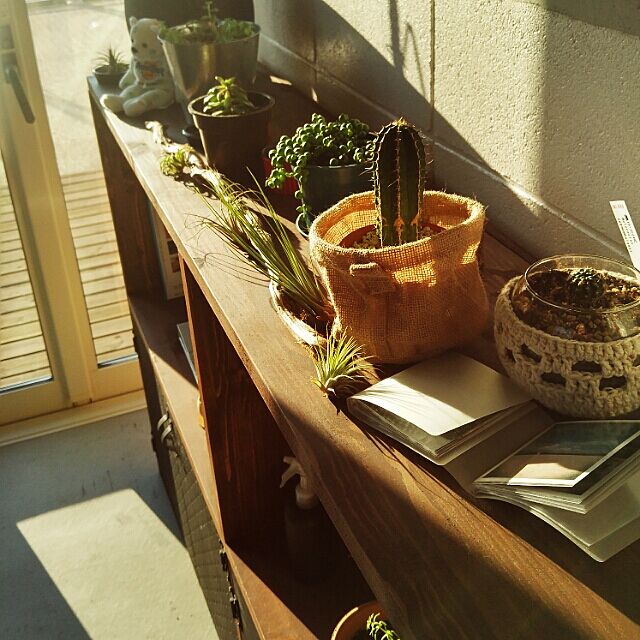 My Shelf,観葉植物,NO GREEN NO LIFE,サボテン,DIY棚,セリア鉢カバー,もっと植物増やしたい♡ Ayaの部屋
