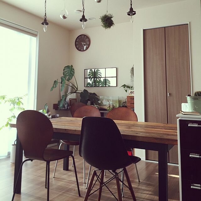 My Desk,植物,IKEA,足場板,100均,DIY,観葉植物,雑貨 mamizoの部屋