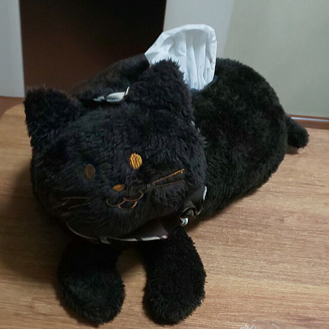 ダイソー,ダイソーの黒猫ティッシュボックスカバー,100円じゃないけど,300円で購入,My Desk Hanamayの部屋