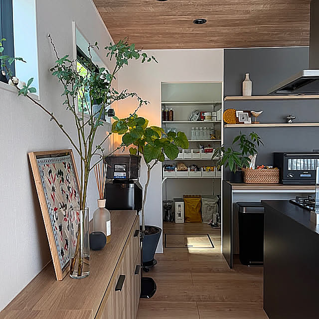 Kitchen,パントリー収納,パントリー,すっきり暮らす,季節を楽しむ暮らし,わが家の好きな風景,下がり天井,観葉植物 masuhome20の部屋
