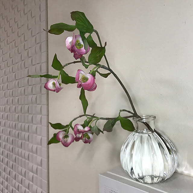 On Walls,ハナミズキ,花のある暮らし,セリアのフラワーベース,エコカラットDIY,エコカラット,エコカラットを自分達で貼ろう部 mizucchiの部屋