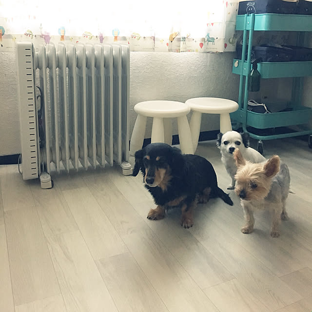 Bedroom,エアコンが設置出来ない,夏は暑い…,マンション通路側の部屋,子供部屋が1番寒い…,無印良品 家電,オイルヒーター出しました,子供部屋&寝室,ニトリのホットカーペット,ニトリ木目調ラグ ohanaの部屋