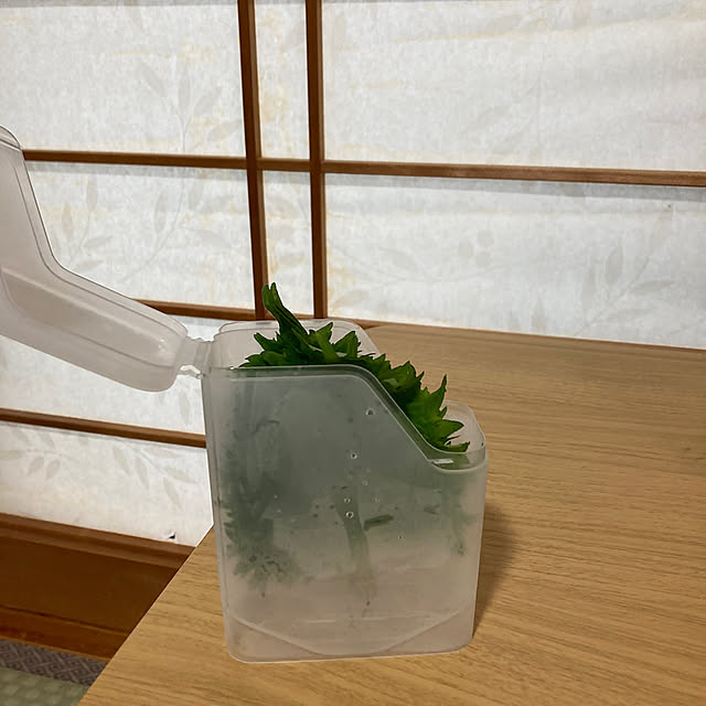 Kitchen,大葉保存容器,100均 koroの部屋