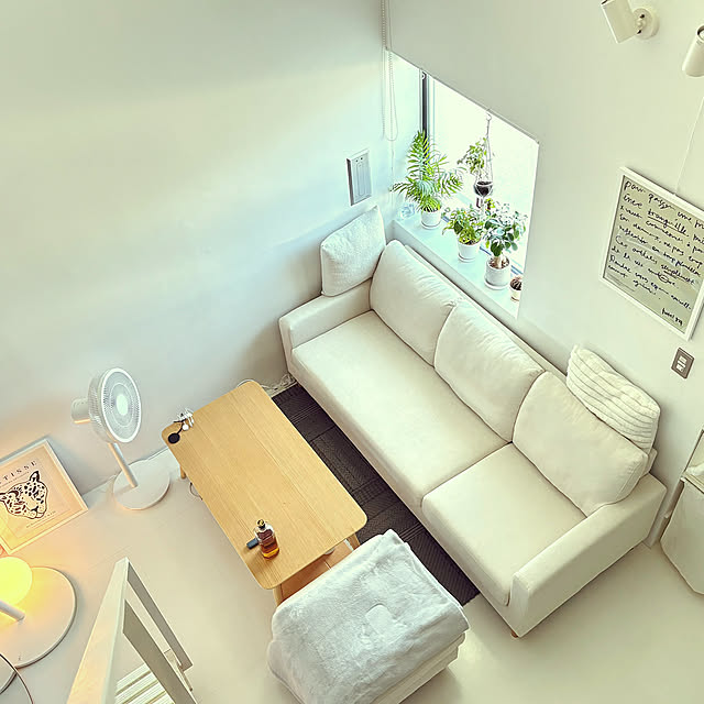 Overview,照明,観葉植物,ニトリ,ソファ,ホワイトナチュラル miyoの部屋