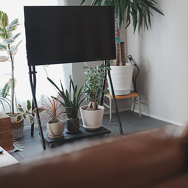 テレビスタンド,観葉植物,心地よい暮らし,中古住宅,100均リメイク,IG→punmaiko,おうち時間,収納,ピエスタ,東リ　フロアタイル,リフォーム,床材,フロアタイル,sp2833,Lounge PUNの部屋