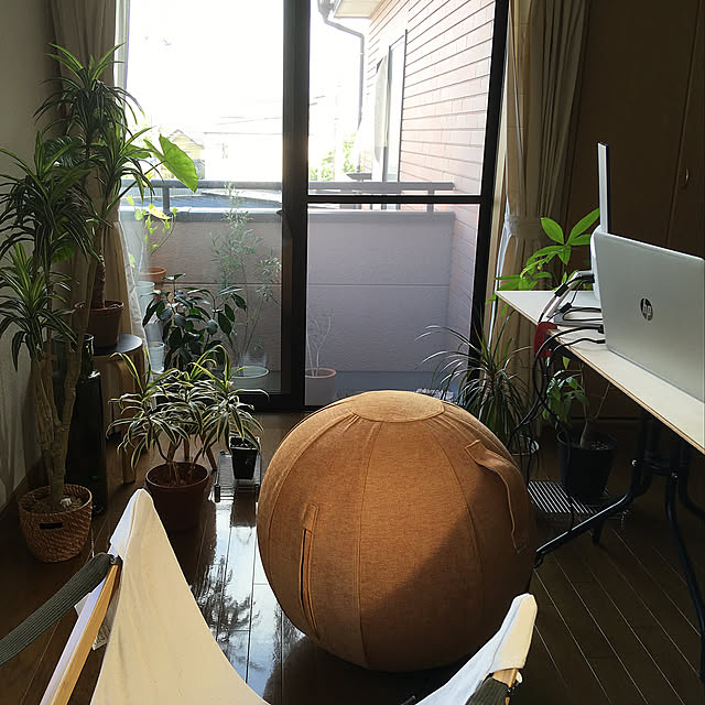 観葉植物,DIY,一人暮らし,アウトドア,Lounge npoの部屋