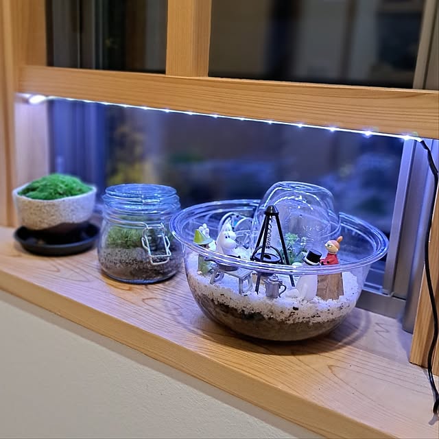 Bathroom,10分でできる,１分でできます,100均リメイク,ダイソー,LEDテープライト,苔テラリウム,育成ライト,苔のある暮らし,みどりのある暮らし,植物のある暮らし,グリーン,ガーデン雑貨,楽しい暮らし,心地よい暮らし,おうち時間,100均,ムーミン,ガチャガチャ,フィギュア,ミニチュア,遊び心,苔鉢,窓枠DIY kazuraの部屋