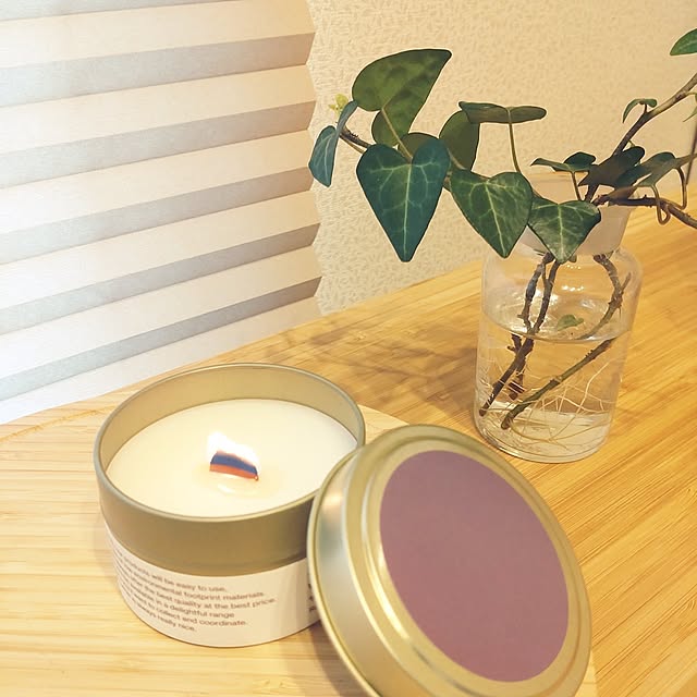 My Desk,おすすめアイテム,観葉植物,グリーン,癒やし,グリーンのある暮らし,暮らしを楽しむ,植物のある暮らし,心地よい暮らし,楽しく生きる,スタンダードプロダクツ,Standard Products,木芯キャンドル,木芯,キャンドル,ジョージジェンセンダマスク,ジョージ・ジェンセン・ダマスク,キッチンタオル,シリコンスプーン,無印良品,キッチンツール,白くま貯金箱,プチプラ雑貨,プチプラ,観葉植物のある暮らし,GEORGJENSENDAMASK tan5の部屋