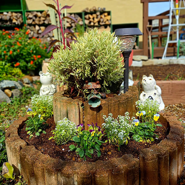 My Desk,Garden*,花のある暮らし,庭仕事,庭のある暮らし,Mygarden,ベニシアさんの庭が好き＊,ビオラ,アリッサム AnKoooの部屋